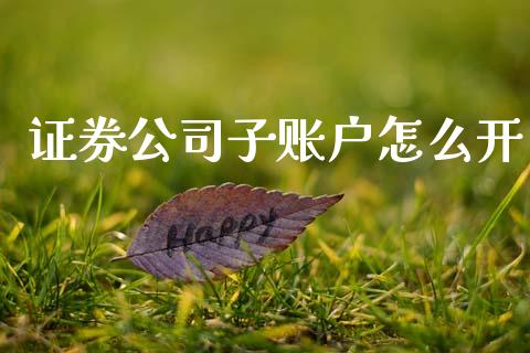 证券公司子账户怎么开_https://cj004.lansai.wang_外汇交易_第1张