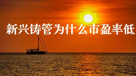 新兴铸管为什么市盈率低_https://cj004.lansai.wang_期货开户_第1张