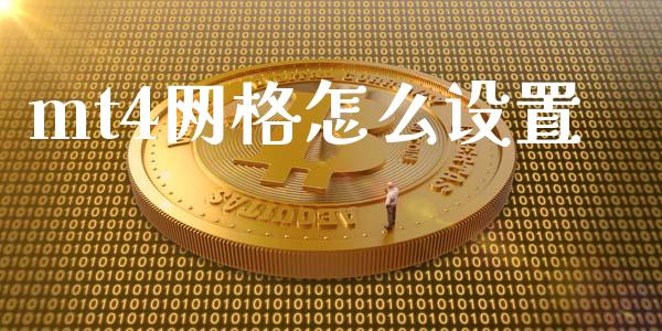 mt4网格怎么设置_https://cj004.lansai.wang_债券资讯_第1张