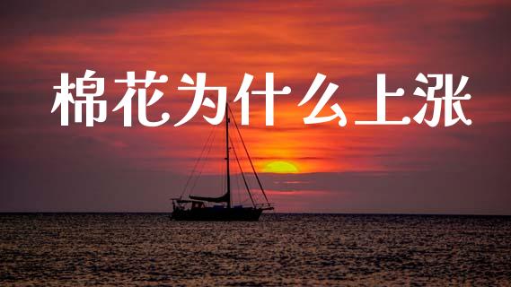 棉花为什么上涨_https://cj004.lansai.wang_期货开户_第1张