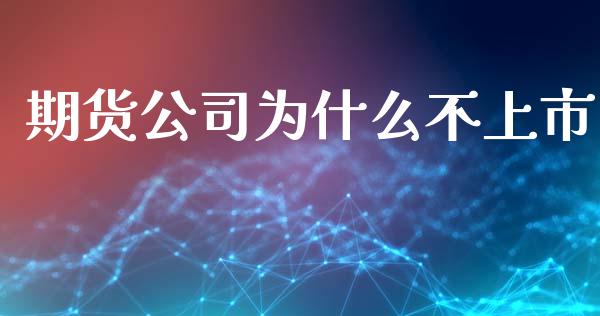 期货公司为什么不上市_https://cj004.lansai.wang_全球市场_第1张