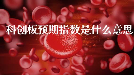 科创板预期指数是什么意思_https://cj004.lansai.wang_财经新闻_第1张