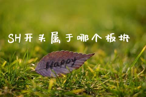 SH开头属于哪个板块_https://cj004.lansai.wang_债券资讯_第1张