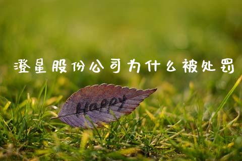 澄星股份公司为什么被处罚_https://cj004.lansai.wang_金融监管_第1张