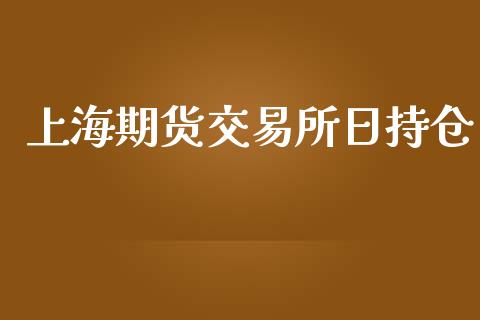 上海期货交易所日持仓_https://cj004.lansai.wang_外汇交易_第1张