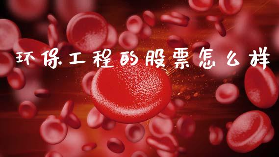环保工程的股票怎么样_https://cj004.lansai.wang_金融监管_第1张