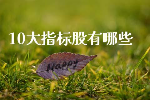 10大指标股有哪些_https://cj004.lansai.wang_金融监管_第1张