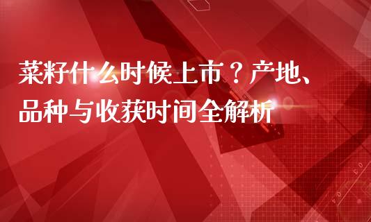 菜籽什么时候上市？产地、品种与收获时间全解析_https://cj004.lansai.wang_全球市场_第1张