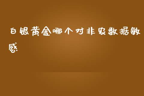 白银黄金哪个对非农数据敏感_https://cj004.lansai.wang_债券资讯_第1张