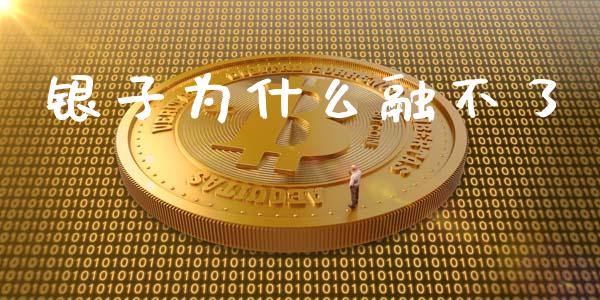 银子为什么融不了_https://cj004.lansai.wang_外汇交易_第1张