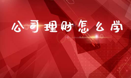 公司理财怎么学_全球市场_第1张_期货开户_金融监管_外汇交易_债券资讯_全球市场_财经新闻 公司理财怎么学_https://cj004.lansai.wang_全球市场_第1张