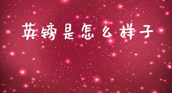 英镑是怎么样子_https://cj004.lansai.wang_金融监管_第1张