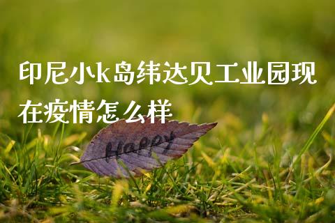 印尼小k岛纬达贝工业园现在疫情怎么样_https://cj004.lansai.wang_债券资讯_第1张