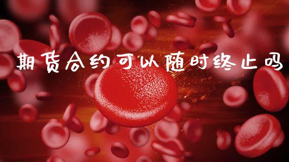 期货合约可以随时终止吗_https://cj004.lansai.wang_金融监管_第1张