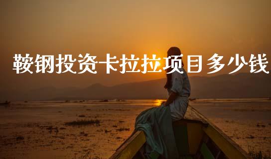 鞍钢投资卡拉拉项目多少钱_https://cj004.lansai.wang_金融监管_第1张