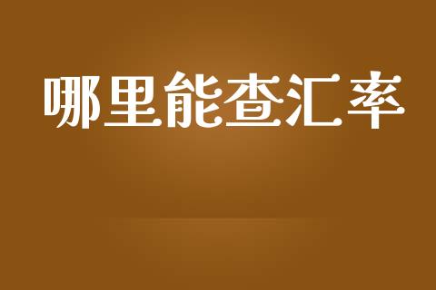 哪里能查汇率_https://cj004.lansai.wang_外汇交易_第1张