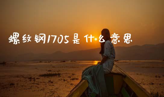 螺纹钢1705是什么意思_https://cj004.lansai.wang_外汇交易_第1张