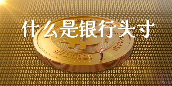 什么是银行头寸_https://cj004.lansai.wang_期货开户_第1张