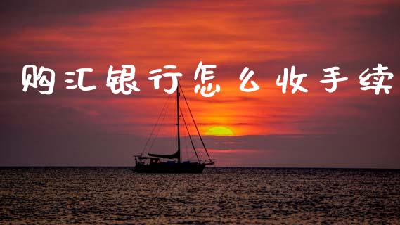 购汇银行怎么收手续_https://cj004.lansai.wang_债券资讯_第1张