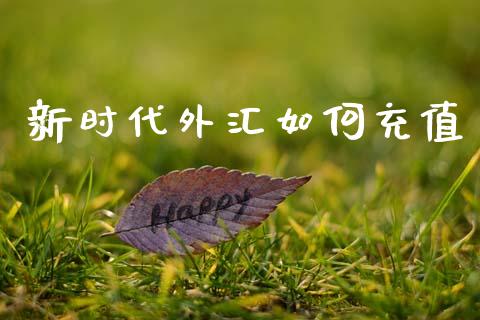 新时代外汇如何充值_https://cj004.lansai.wang_金融监管_第1张