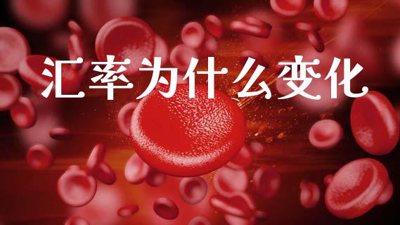 汇率为什么变化_https://cj004.lansai.wang_外汇交易_第1张