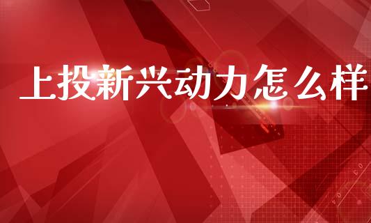 上投新兴动力怎么样_https://cj004.lansai.wang_期货开户_第1张